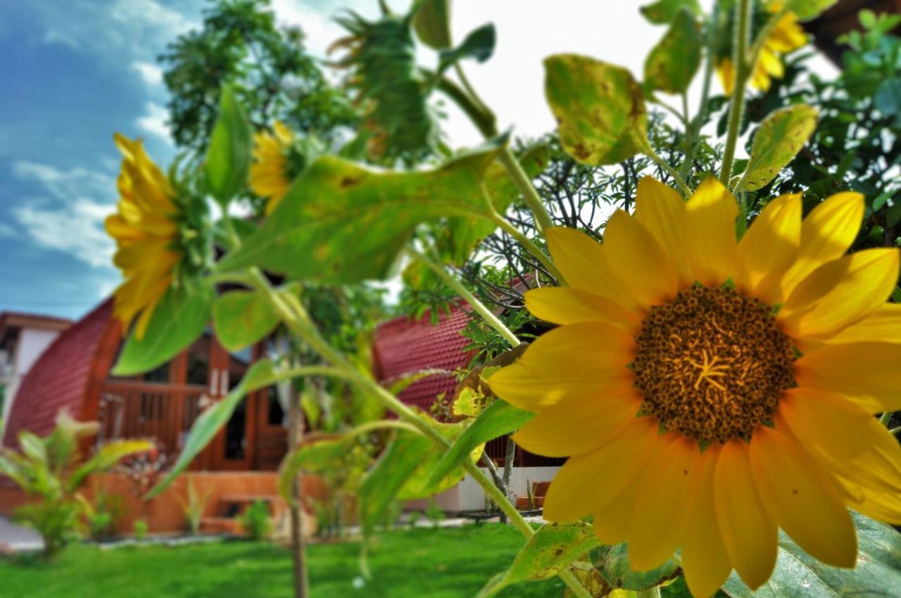 Setilas Bungalows Batununggul Exterior photo